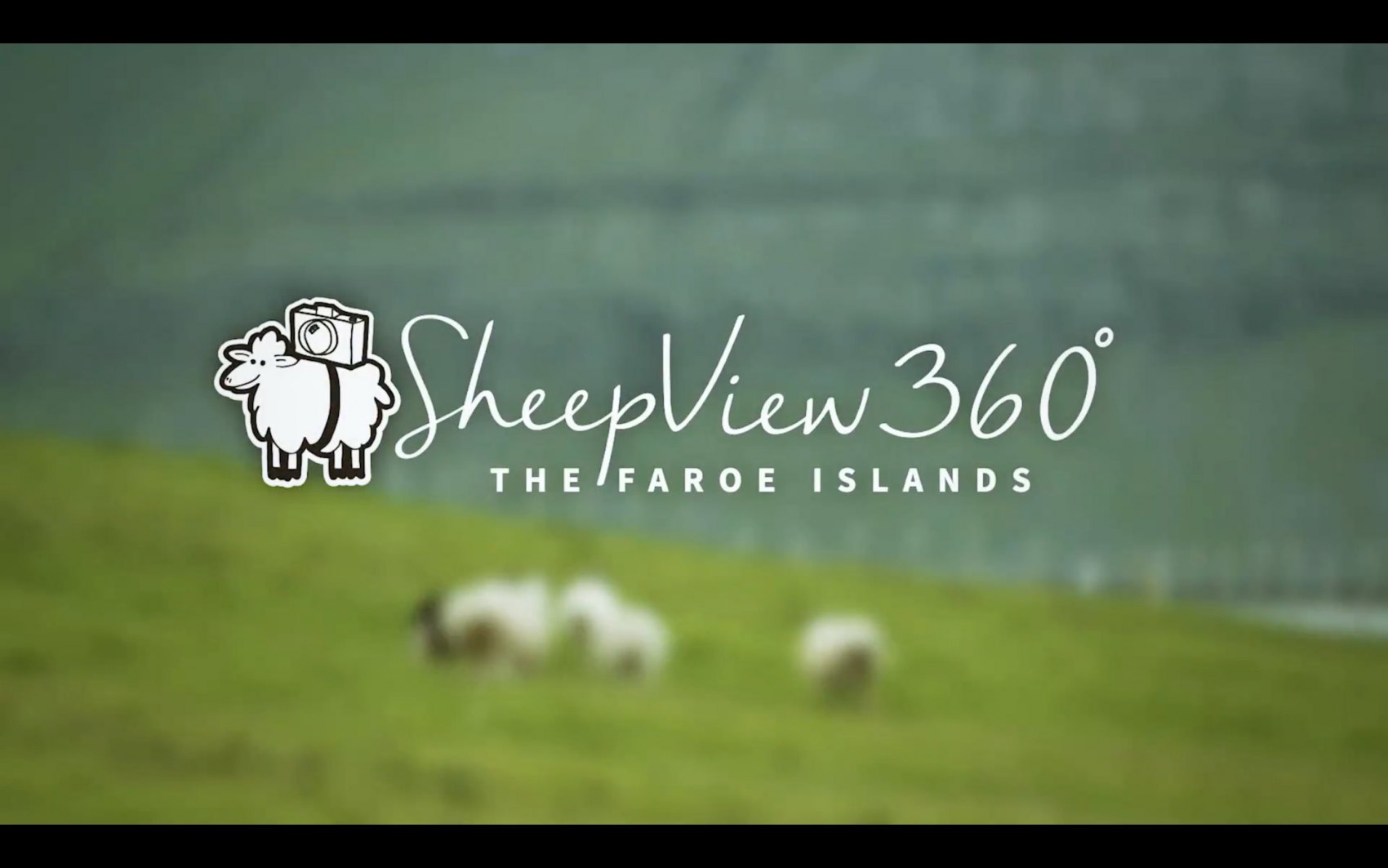 Sheep View