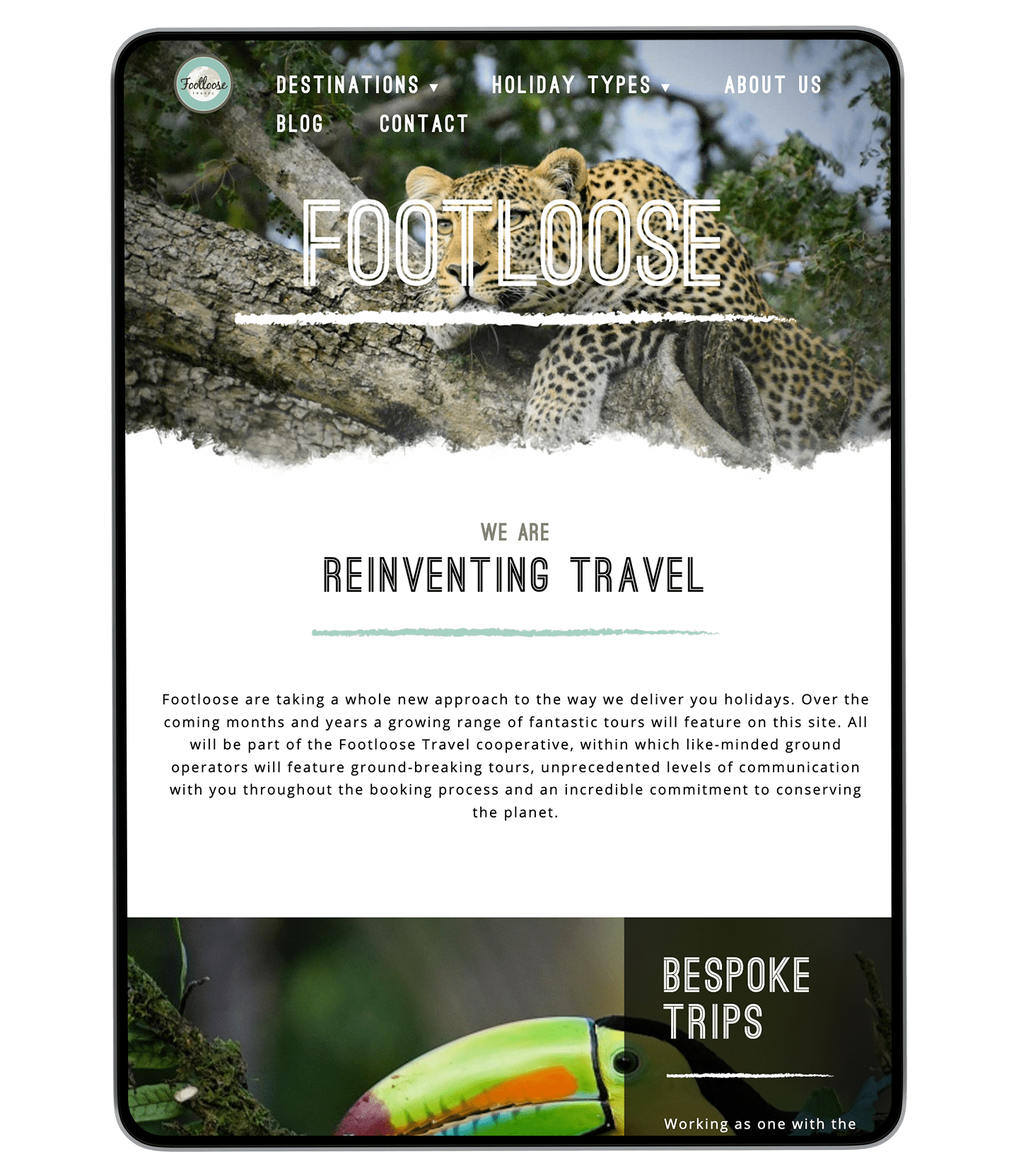 Footloose Website Design on iPad